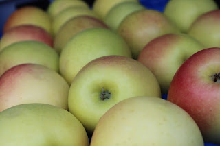 Não come fruta? Descubra 6 razões para passar a comer...