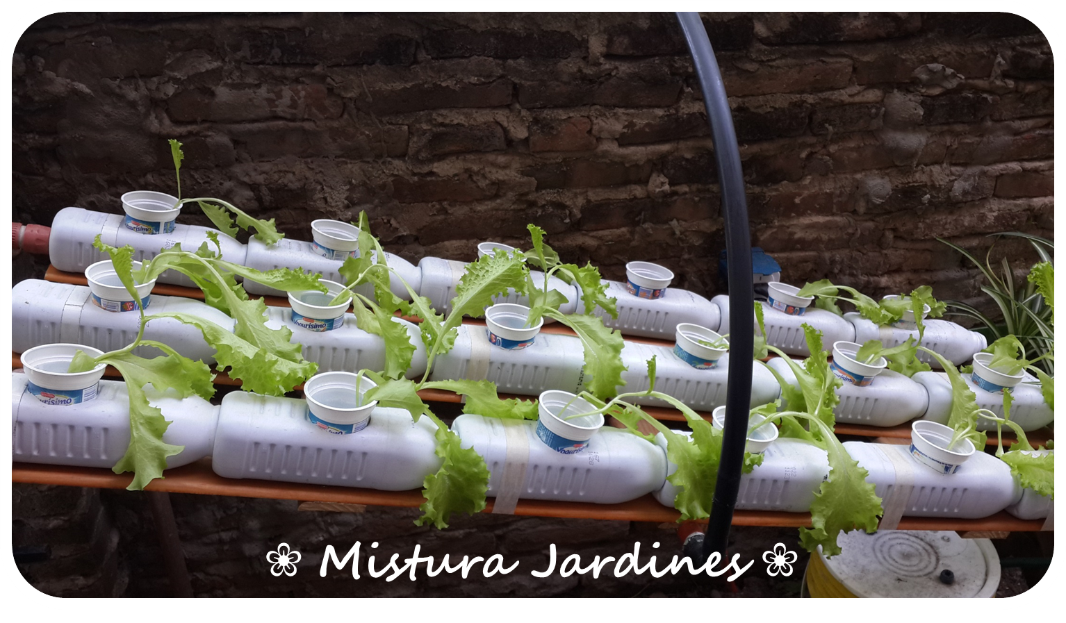 Mistura Jardines : Hidroponía - Sistema de cultivo NFT