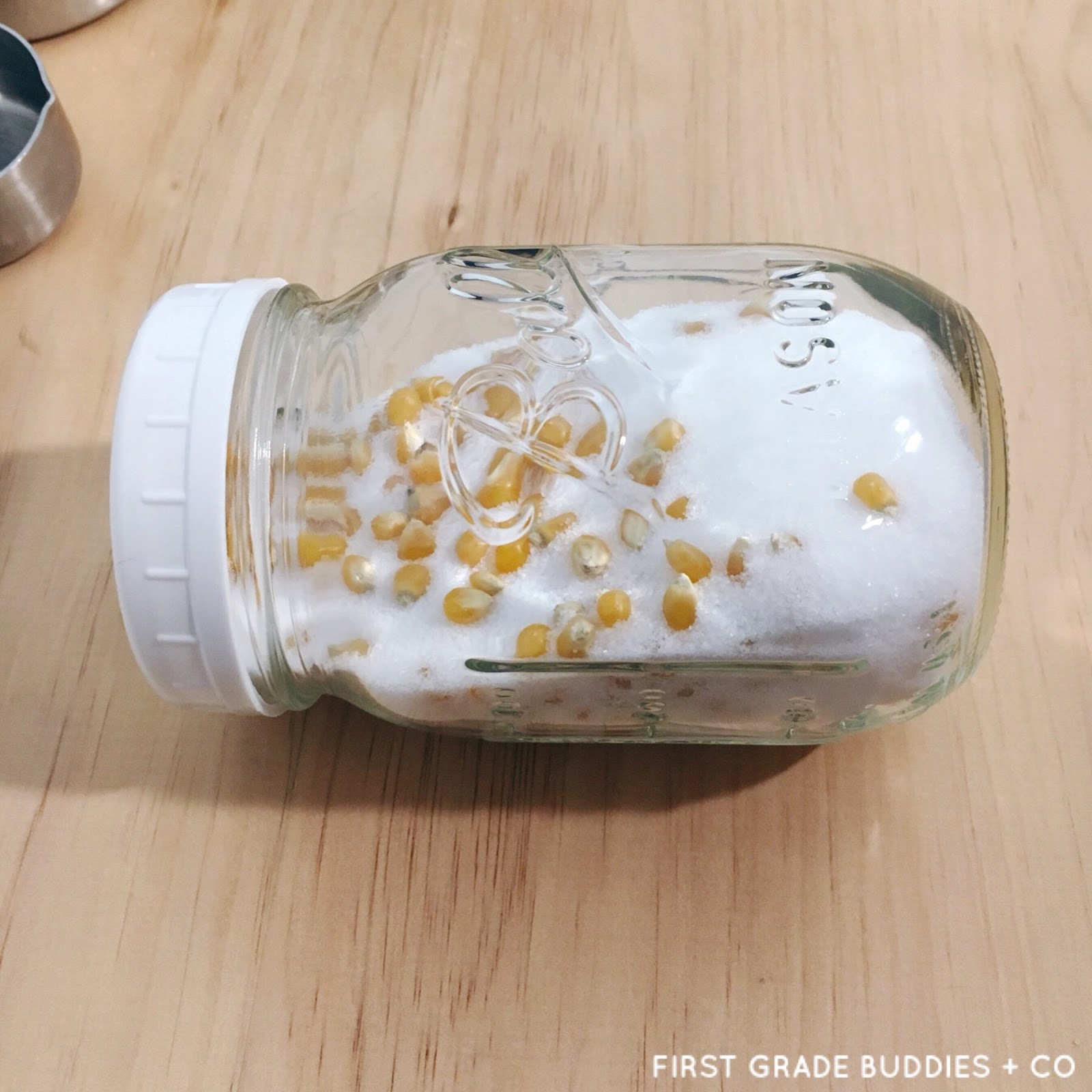 Simple Science Popcorn in Salt First Grade Buddies