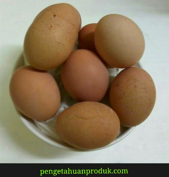 Tips Memilih Telur Berkualias Baik
