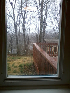 Rainy day backyard, trees, and deck