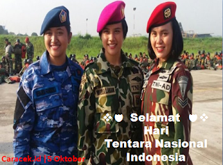 hari-tentara-nasional-indonesia-5