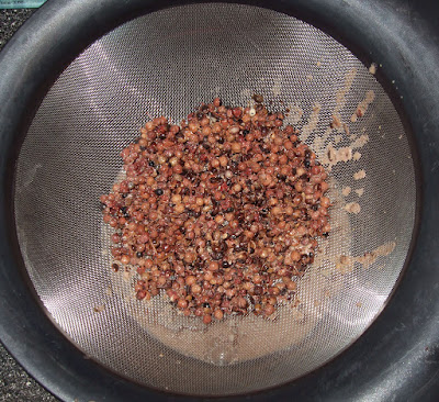 Strained peppercorns.