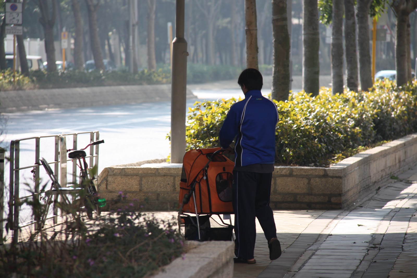 Just Another Day In Hong Kong: Walking your dog Hong Kong style