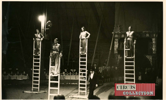 spectacle les 4 Sawatha échelles libres cirque Knie