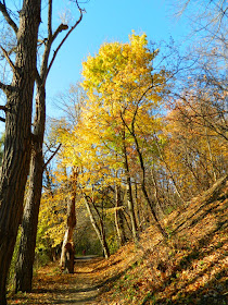 Fall foliage Taylor Creek Park by garden muses-not another Toronto gardening blog
