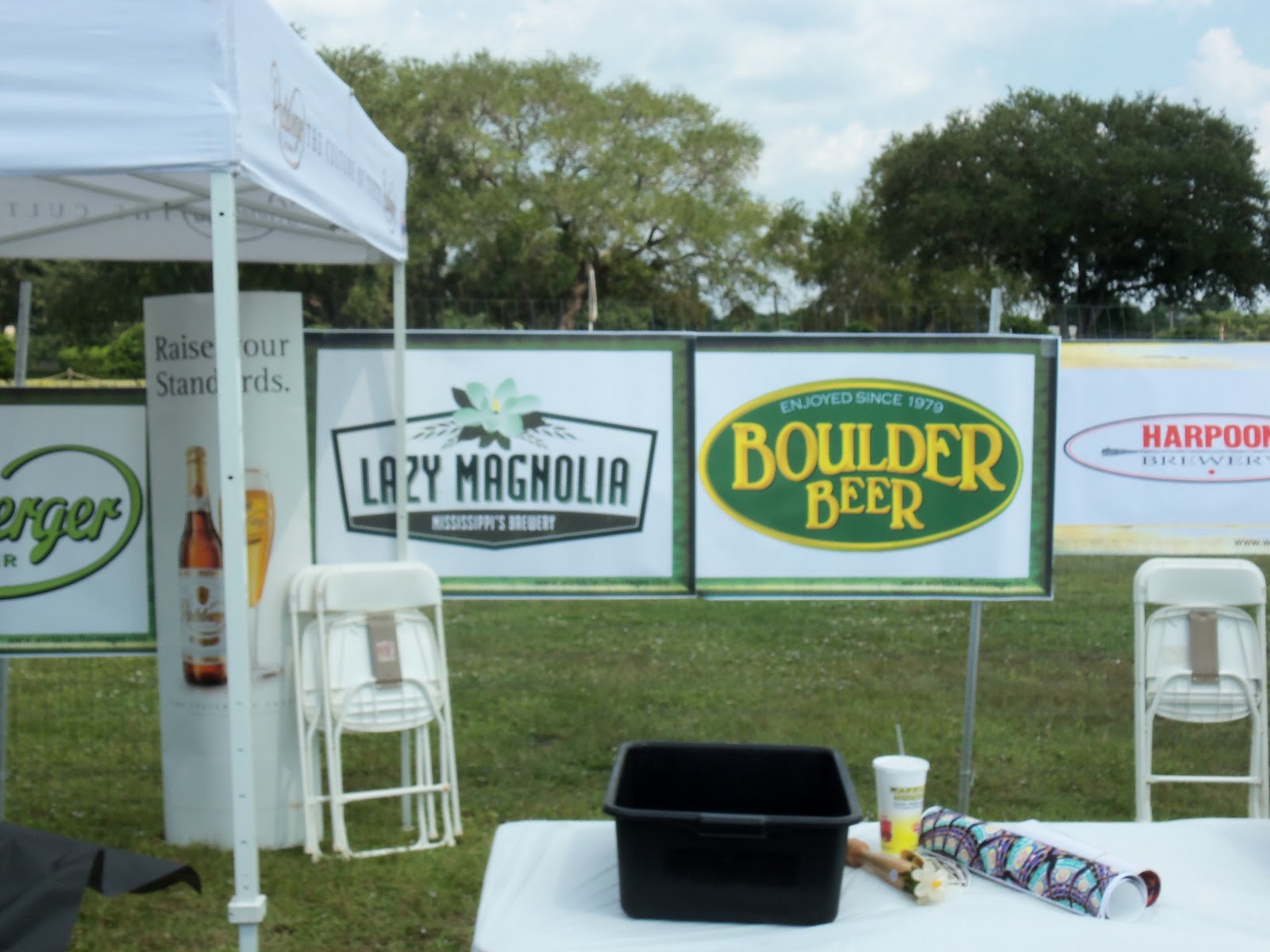 Adventures With The Renegade Reps Dunedin Beer Festival