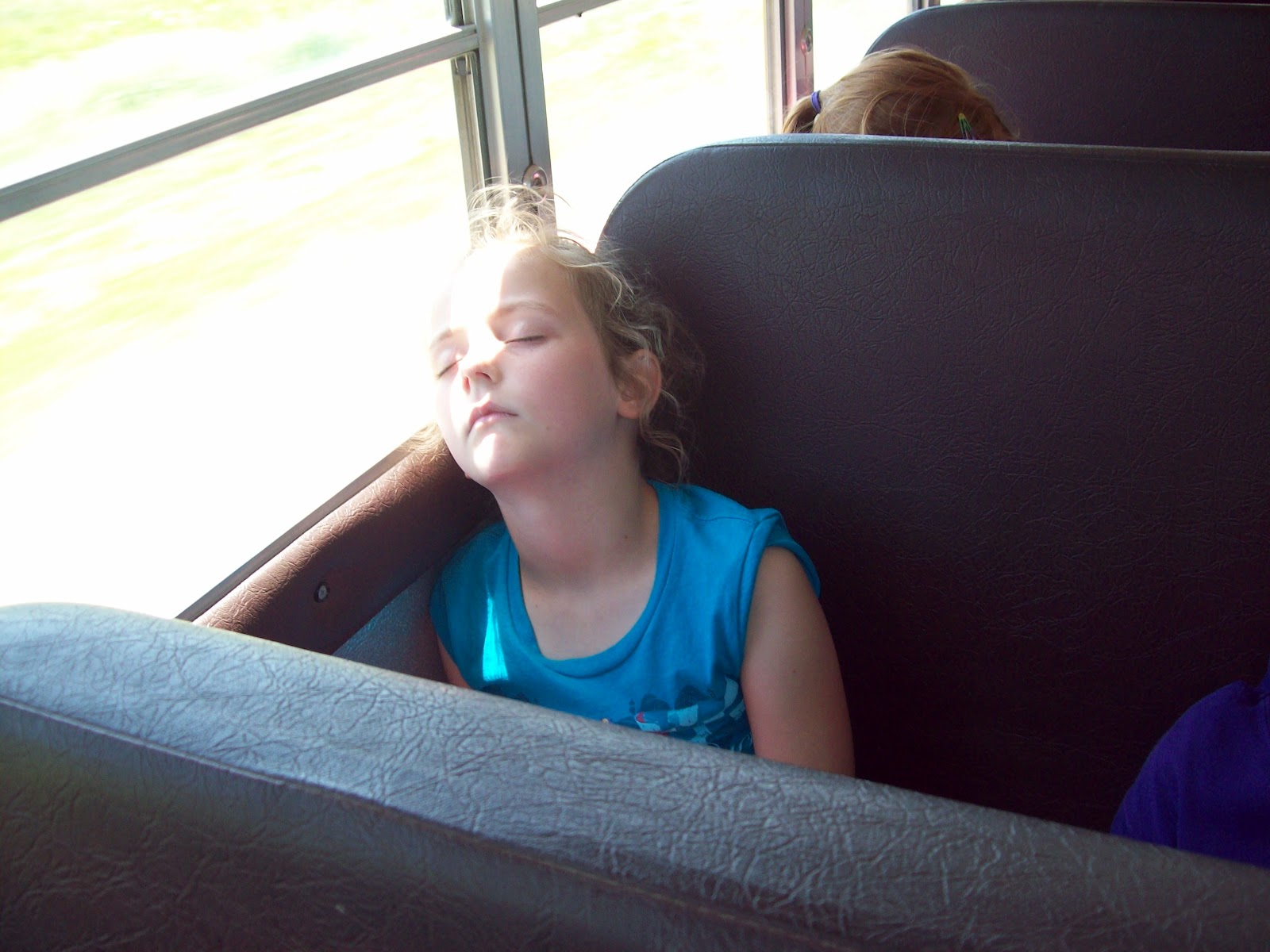 Teaching Little Miracles Field Trip to the Zoo = Sleeping Kids!