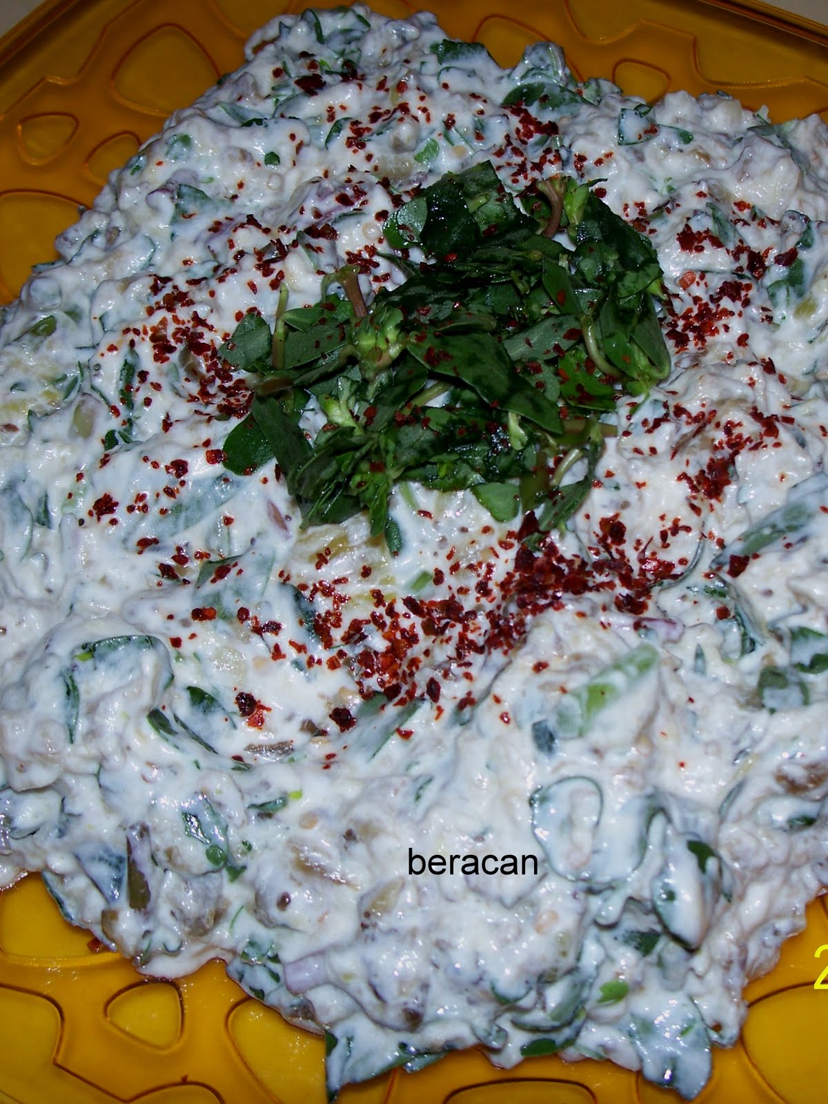 SEMİZOTLU KÖZ PATLICAN SALATASI Bomba Yemek Tarifleri