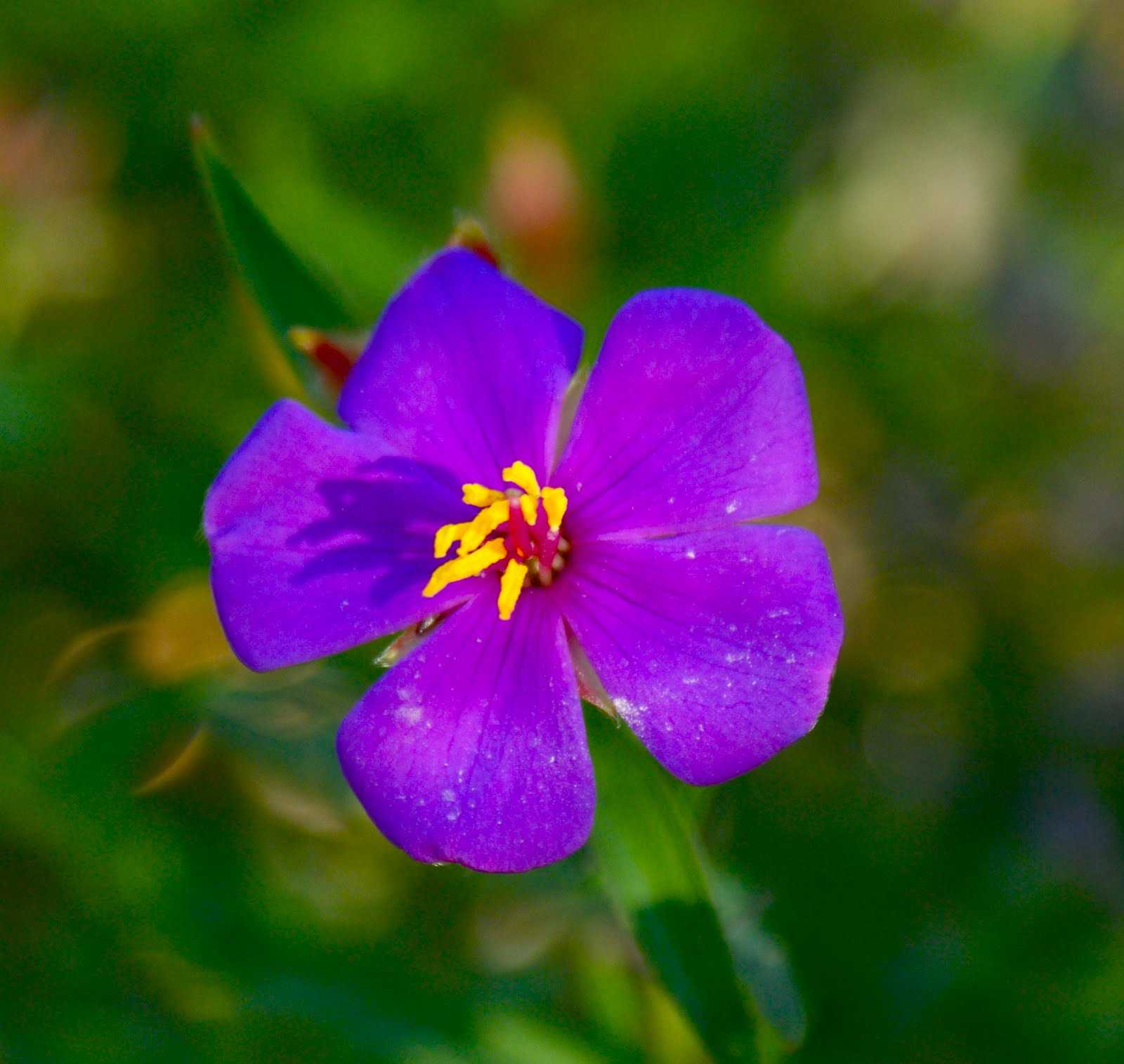 A Parenting Life Refreshed and Recharged