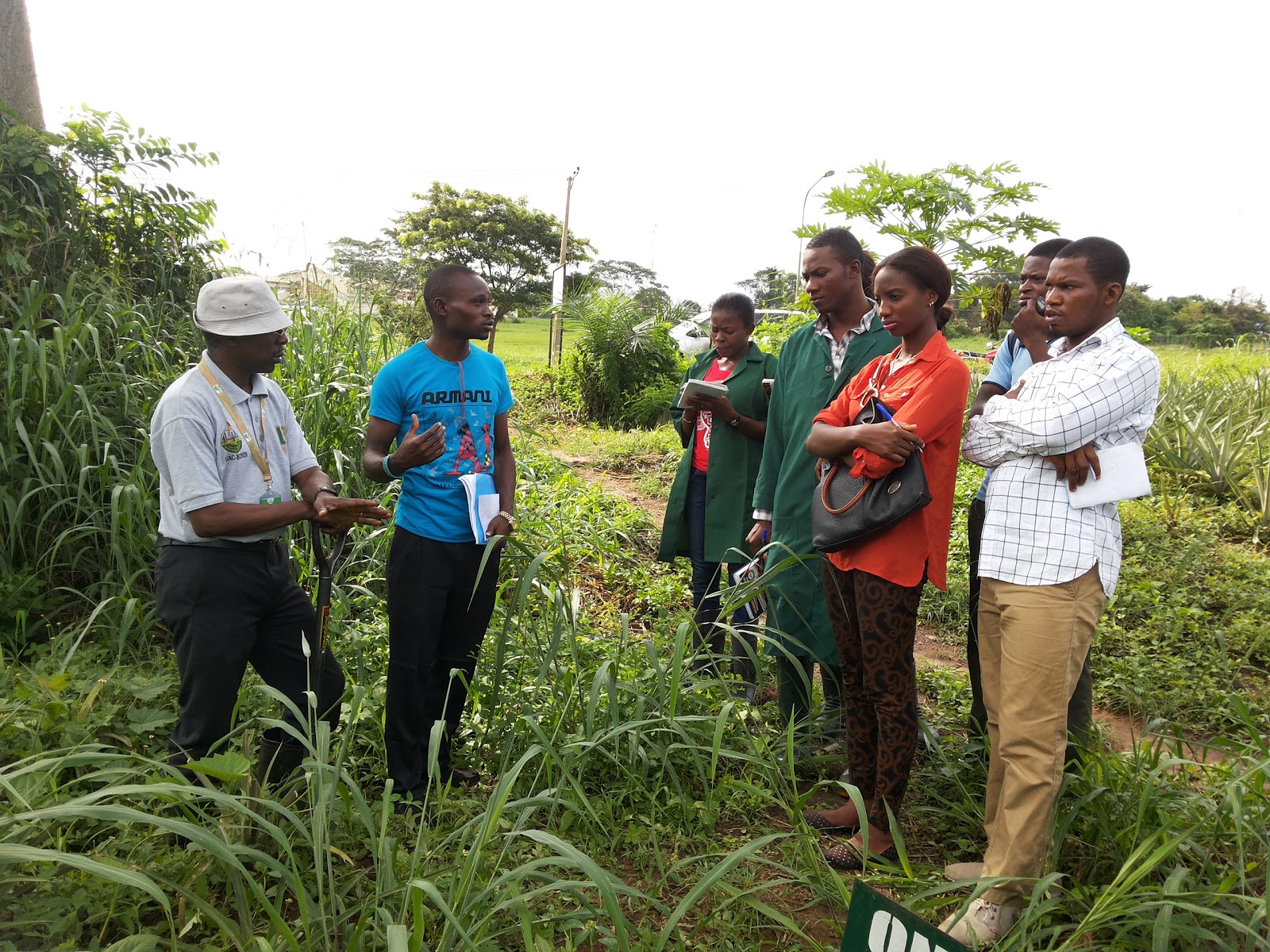 AGROPRENEURS ZONE APPLY FOR FREE VOCATIONAL TRAINING IN SELECTED AREA vocational-training-in-ethiopia-photos-download-the-best-free