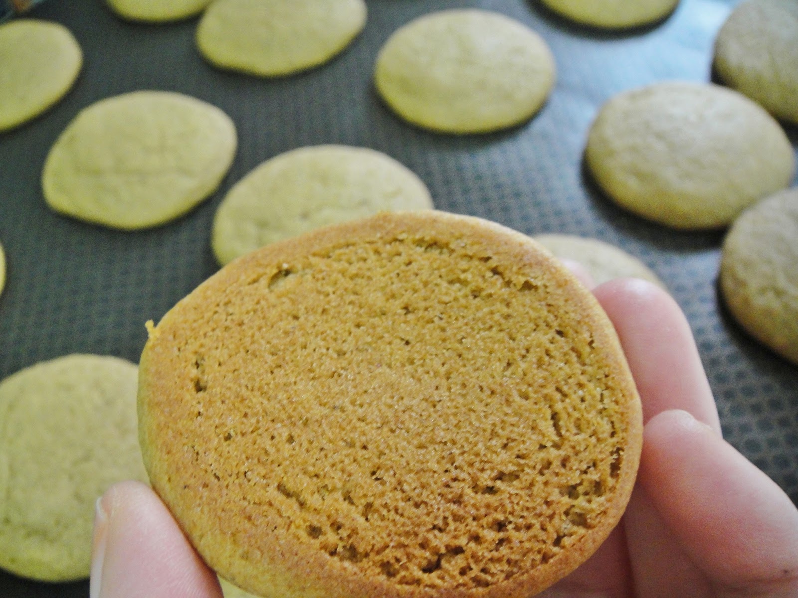 Maryam's Culinary Wonders 1176. Date Molasses Sandwich Cookies