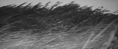 Antonio F Marín: junio 2016