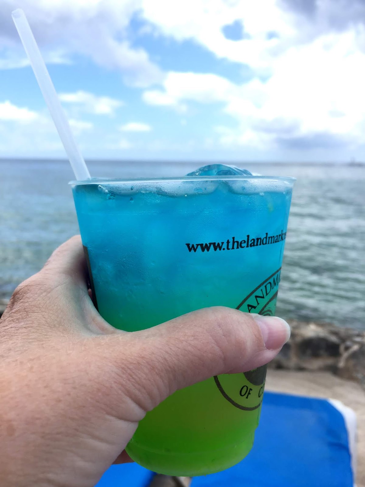 Deb's Days Snorkeling at the Money Bar in Cozumel, Mexico