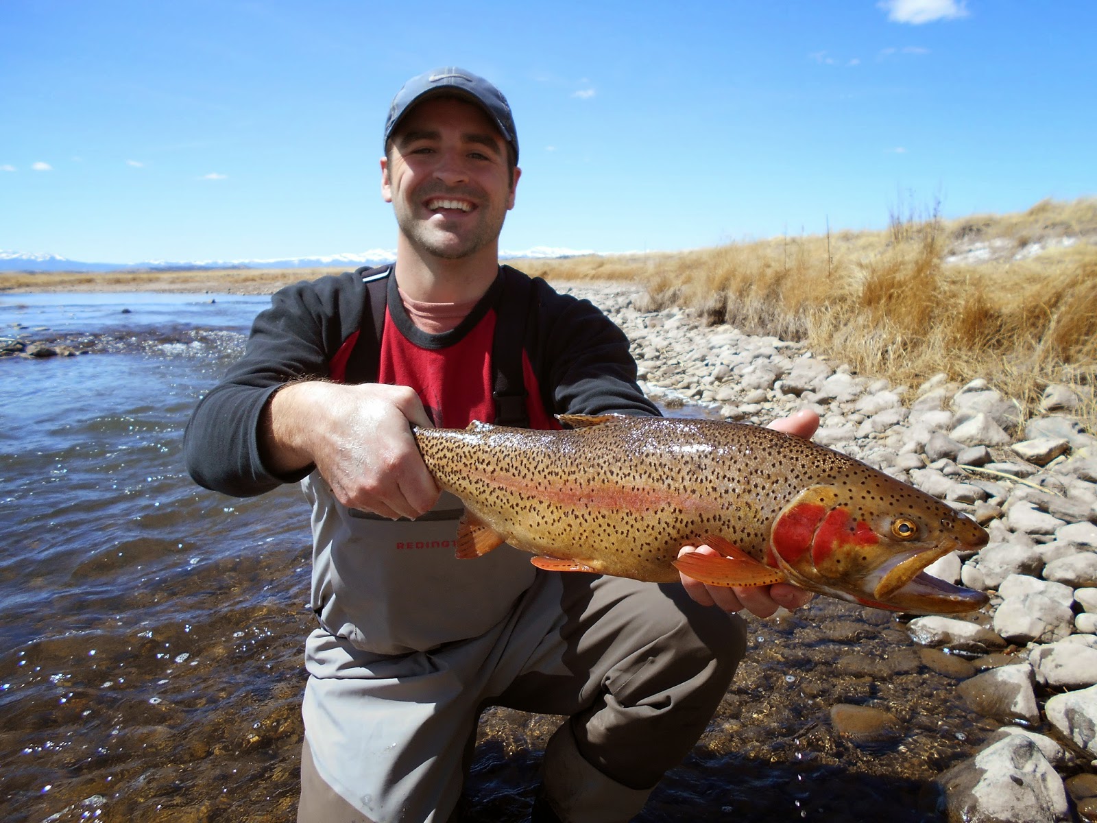 Addictive Angling Colorado Spring Fly Fishing with Addictive Angling Colorado