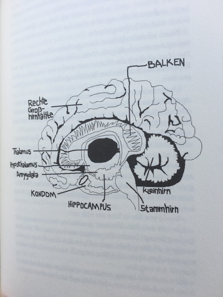 Warum Du Dich Immer Verabschieden Und Niemals Heimlich Von Deinem