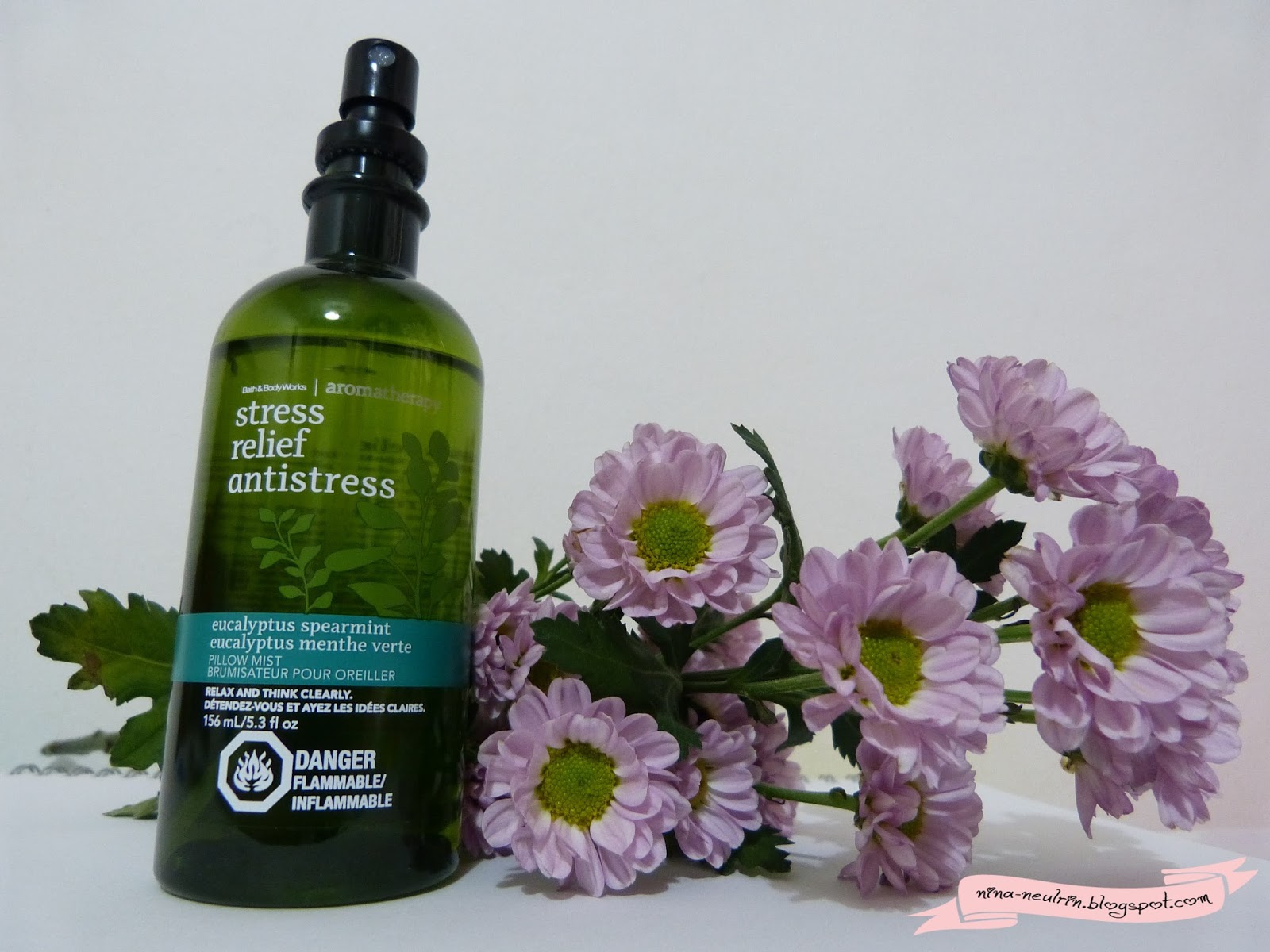 Lifestyle Stress Relief By Eucalyptus Spearmint Nina Enany