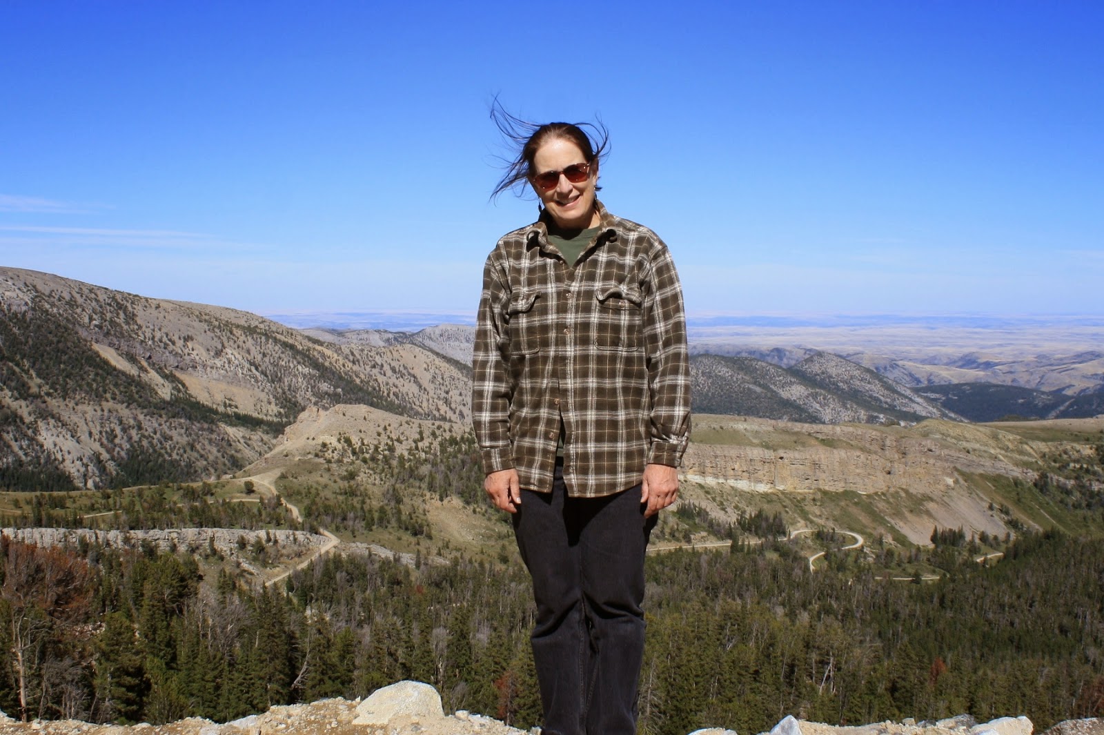 Living and Dyeing Under the Big Sky Picket Pin Summit