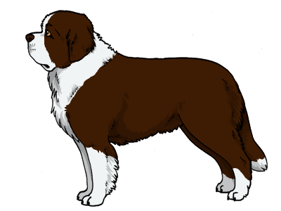 Furry Paws Dog Breed Colors Saint Bernard Furry Paws Dog Breed Colors Saint