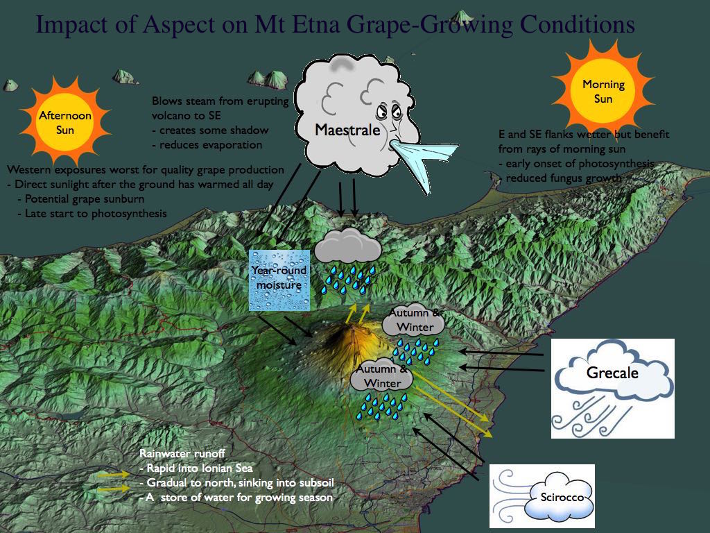 Wine Mise en abyme Climate in the Mt. Etna grapegrowing region