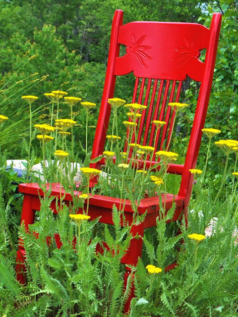 Garden Chair Ideas