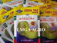 MONALISA,ACTION 88, ACTION ORANGE, CAP KAPAL TERBANG, BISI INTERNATIONAL, HARGA MURAH, LMGA AGRO, JUAL BENIH MELON KAPAL TERBANG, TAHAN VIRUS