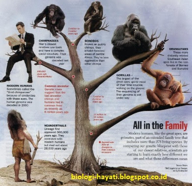 Teori Teori Evolusi Sebelum Carles Darwin Teori Teori Evolusi Sebelum Carles Darwin