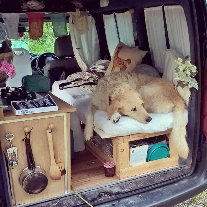 Woman Restores Old Van On Her Own - The Reason Will Surprise You