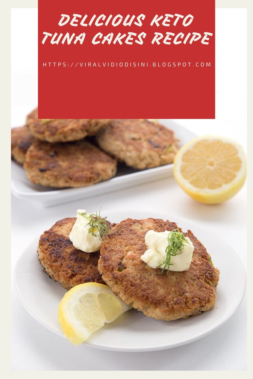 DELICIOUS Keto Tuna Cakes Recipe MOENZE3
