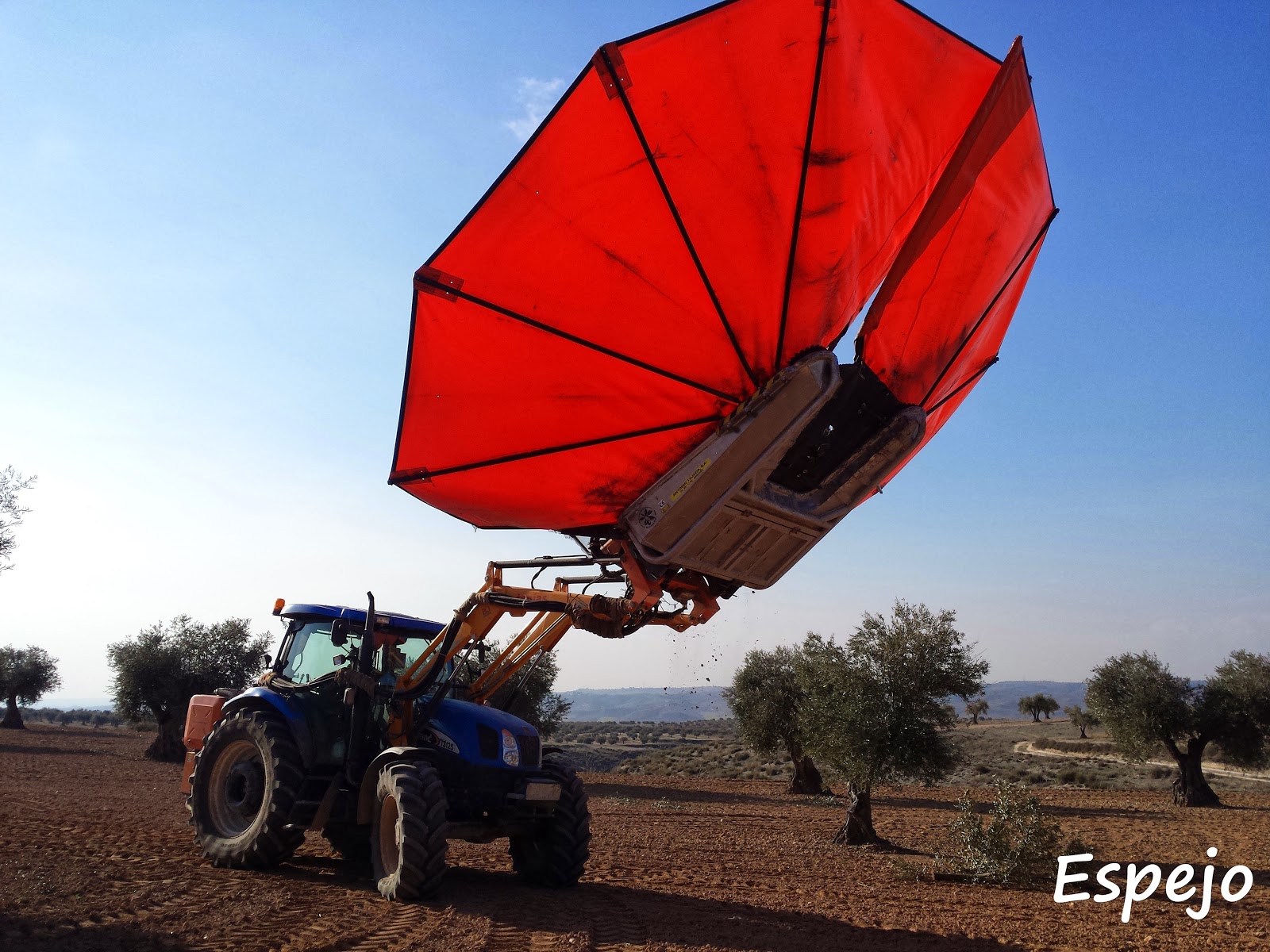 Más que agrícolas: octubre 2015