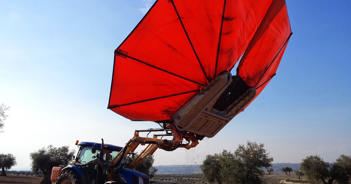 Más que máquinas VIBRADORES DE TRONCO PARA LA DEL OLIVAR (II entrega)