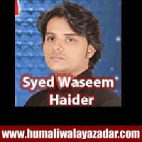 http://ishqehaider.blogspot.com/2013/11/syed-waseem-haider-nohay-2014.html