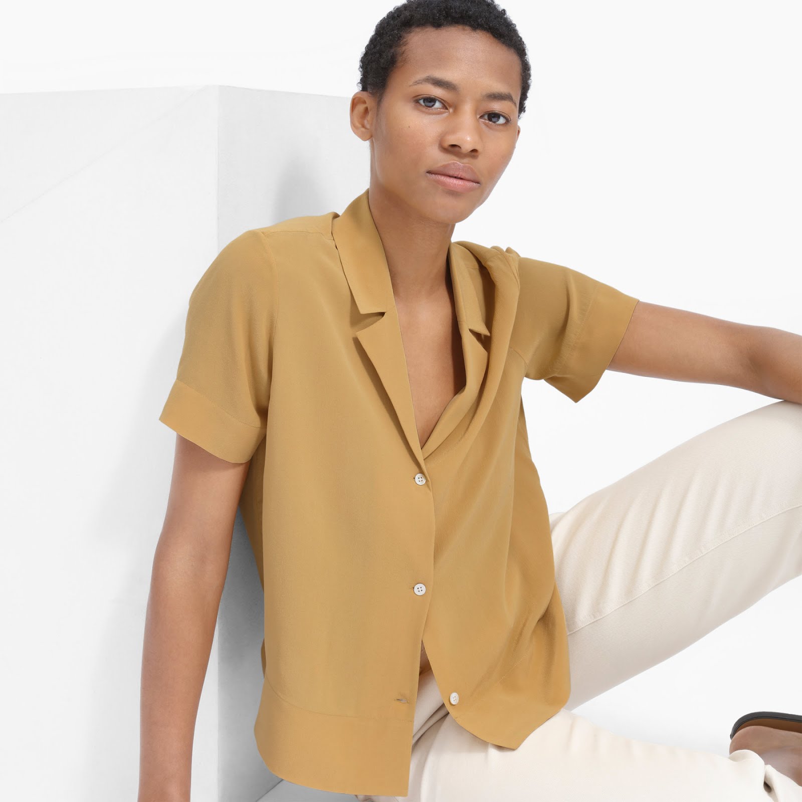 Everlane The Clean Silk Short-Sleeve Notch Shirt
