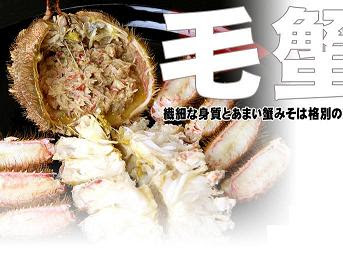 【ベストコレクション】 ��言葉 北海道 266676-浜言葉 ���海道 一覧