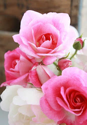 flores rosas hermosas bellas regalar compartir imagenes bonitas frases prugne flowers rojas nuestros embellecer muros happy roses google biografias dolce