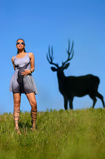 http://tamarachloestyleclues.blogspot.nl/2015/05/oh-deer.html