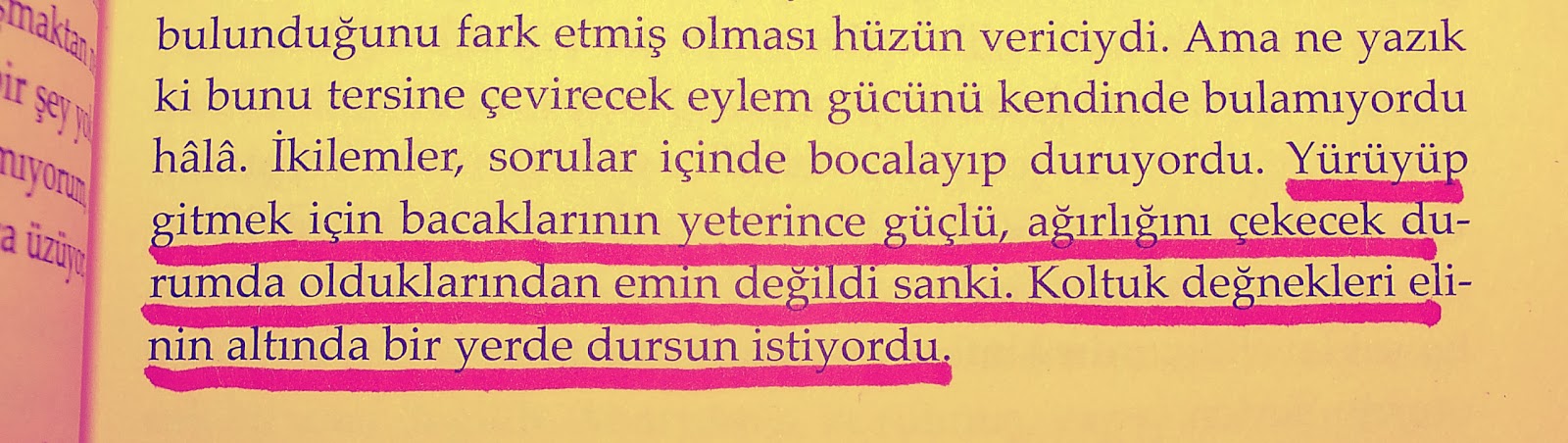 n1.jpg