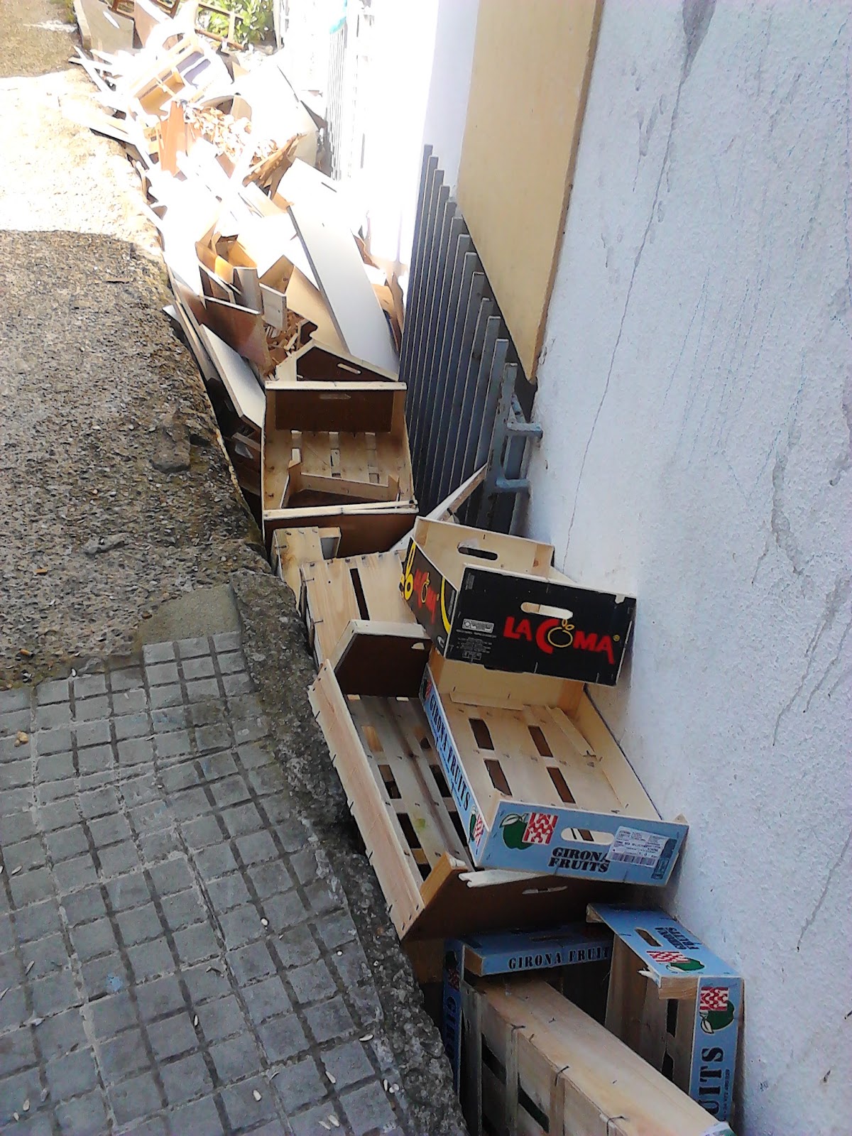 Ubrique en verde El día de los gamones