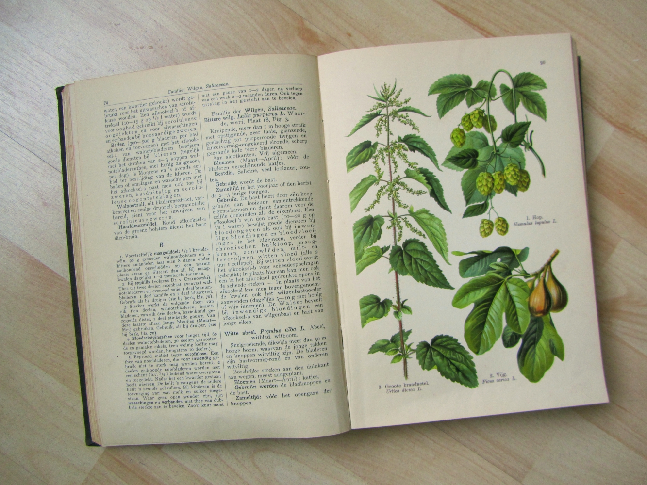 Monstrum Naturae The herbal encyclopedia