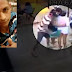 Vídeo: Homem tenta matar ex-mulher a facadas pelas costas em um bar.