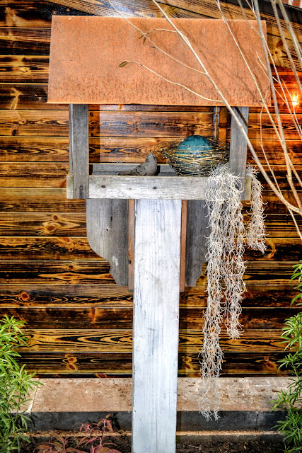 The Outlaw Gardener: The Garden Part of the Tacoma Home and Garden Show