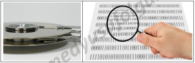 adli bilisimin calisma alanlari