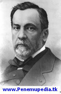 Penemu Pasteurisasi Louis Pasteur