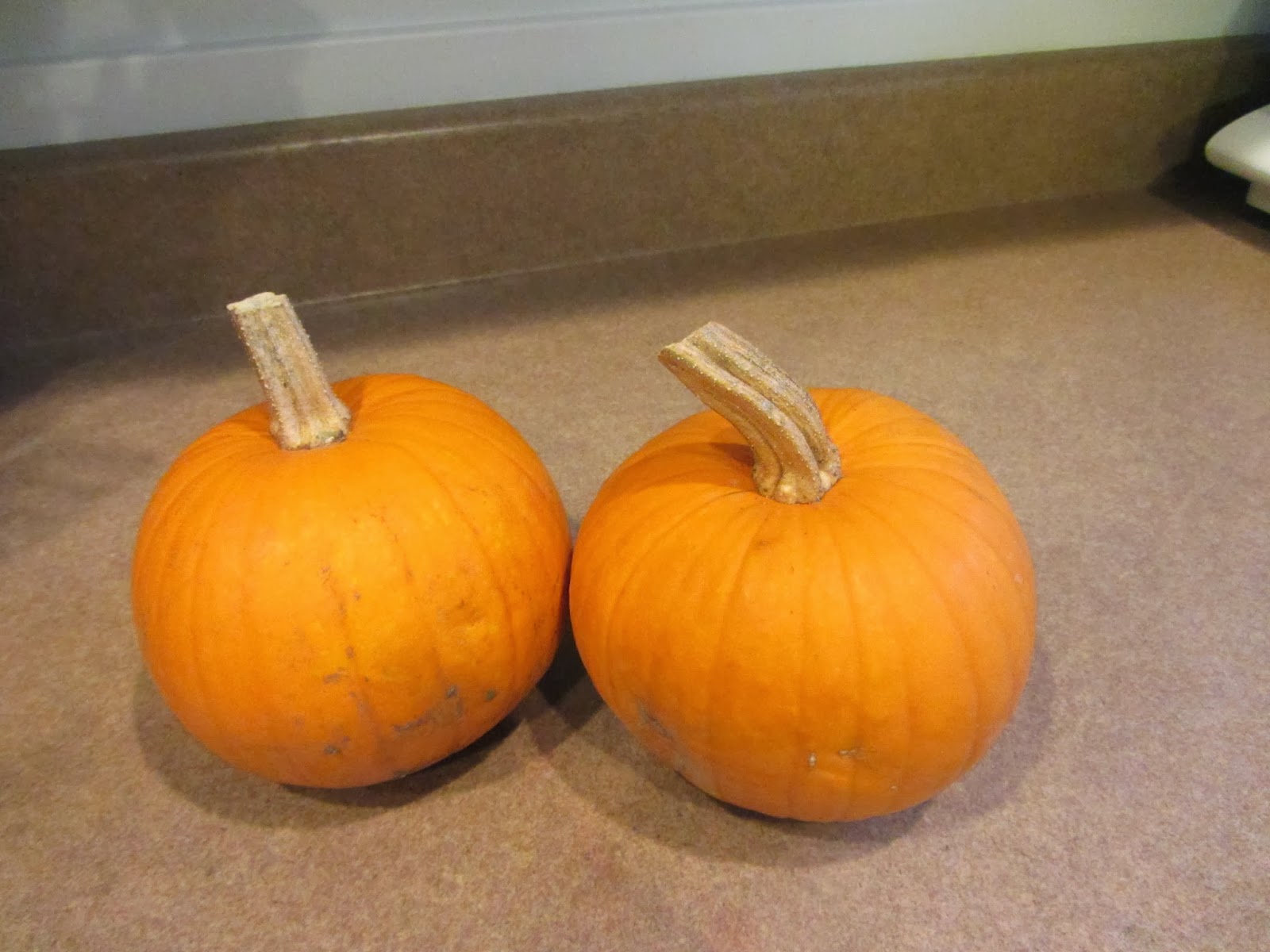 Eetrs Obsessions Microwave Monday 19 Pumpkin Purée