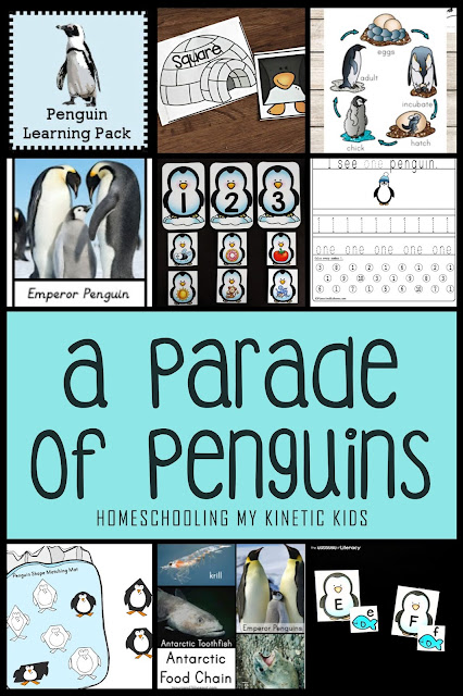 A Parade of Penguins // Homeschooling My Kinetic Kids // Mega round-up of all things penguins for the ultimate penguin homeschool or school learning unit.  Crafts, recipes, printables, sensory bins, books, and more.