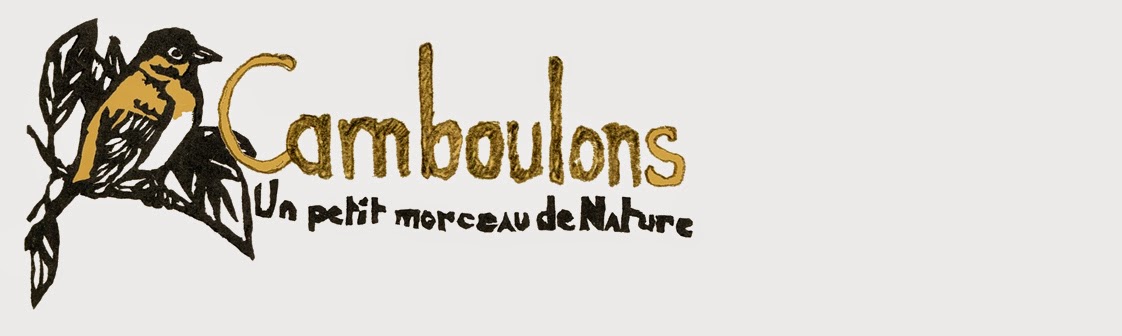 camboulons