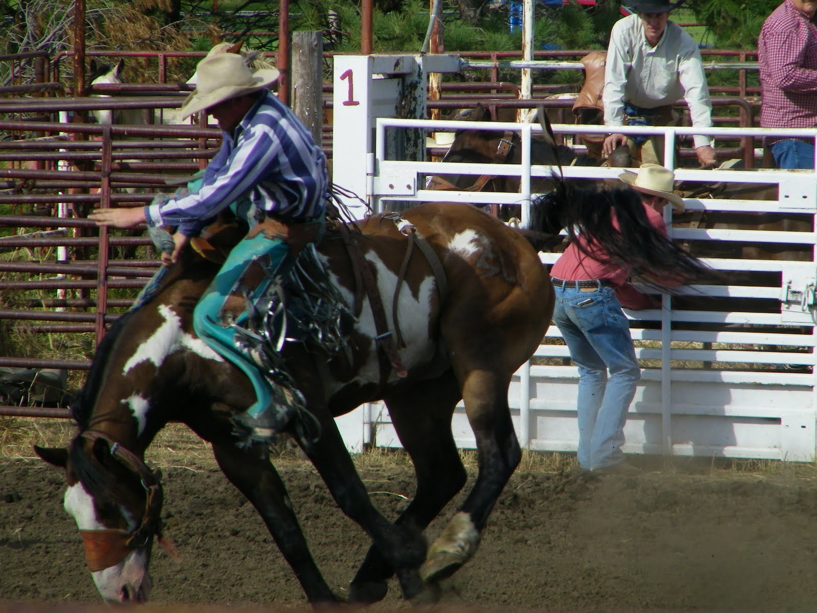 Crazy Town ND Fischer Prairie Bruce Zingg Memorial Rodeo...Carson, ND!