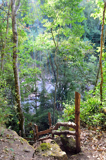 trail through forest in Puriscal, Costa Rica