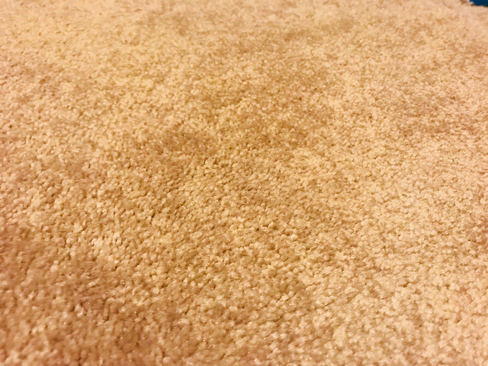 How We Removed a Black Sharpie Marker from Our Carpet Dallas Mom Blog