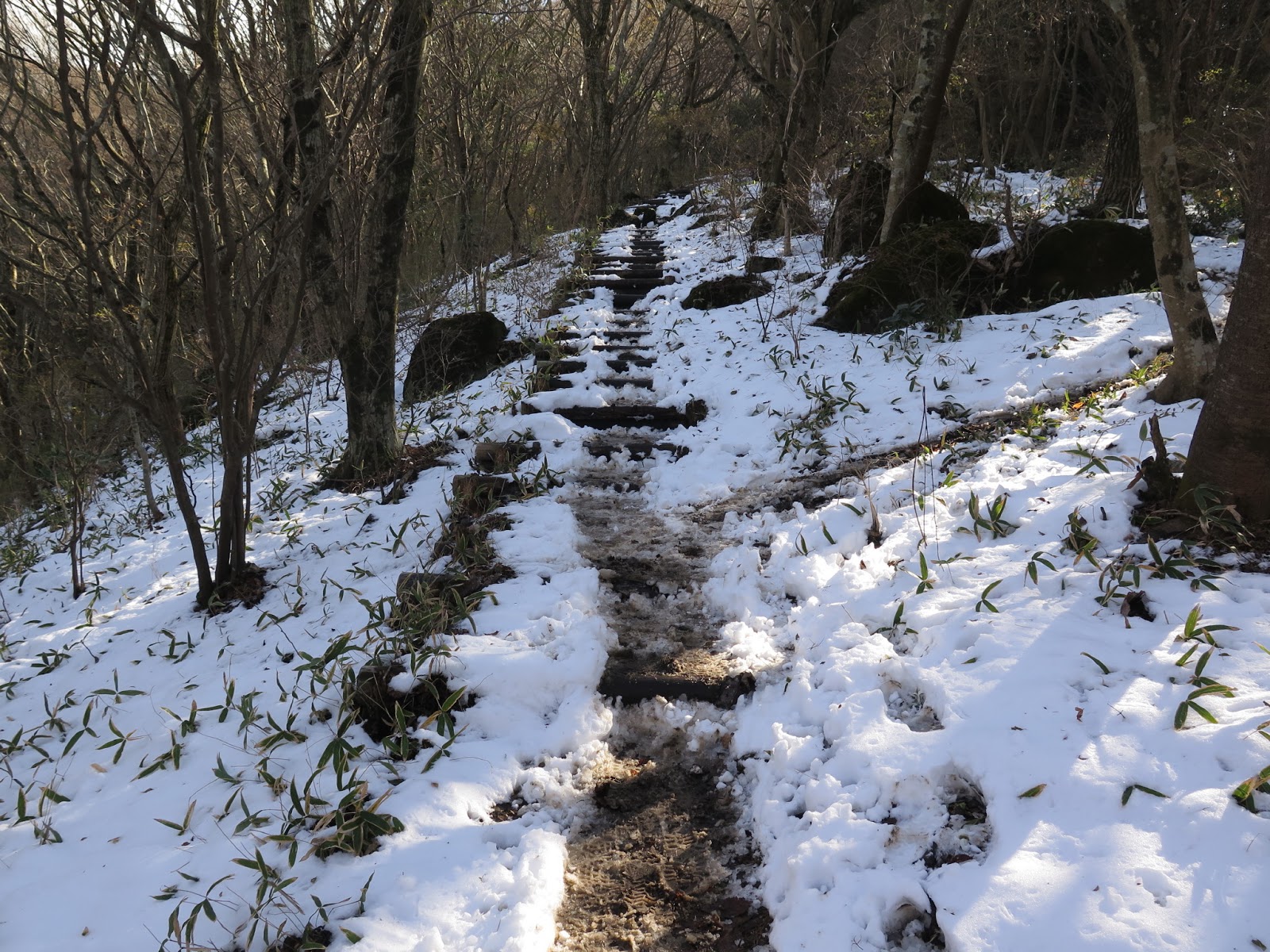 わたしのblog 家族と山の日々 雪残る筑波山にて Adidas Sportiva Trango Nepal